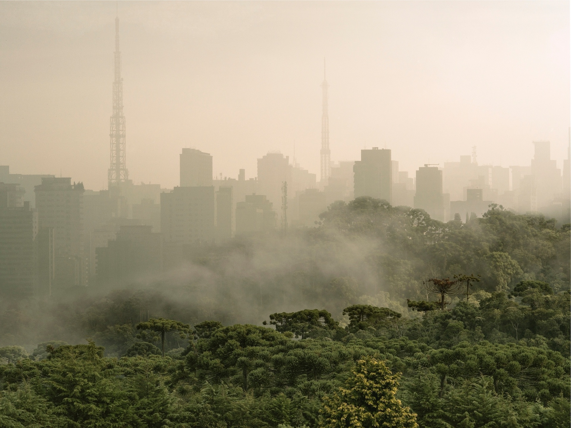 Foto de Lucas Lenci, na ArtEEdições Galeria - Divulgação