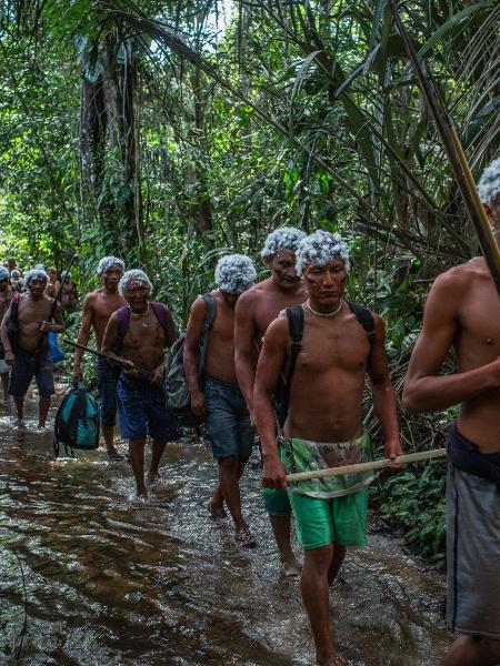 Os Yanomami em trilha durante o encontro de Lideranças Yanomami e Ye"kuana, onde os indígenas se manifestaram contra o garimpo em suas terras. O primeiro fórum de lideranças da TI Yanomami foi realizado entre 20 e 23 de novembro de 2019 na Comunidade Watoriki, região do Demini, Terra Indígena Yanomami - Victor Moriyama / ISA/Victor Moriyama / ISA