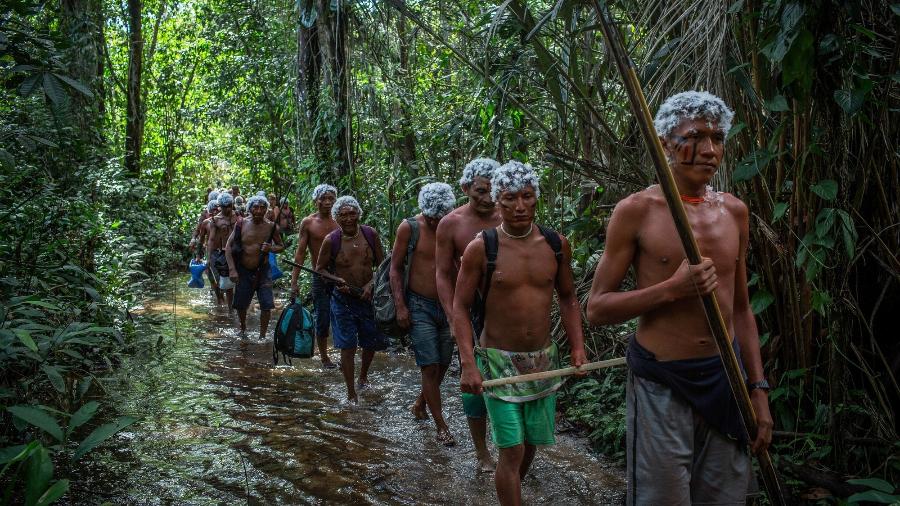 Os Yanomami em trilha durante o encontro de Lideranças Yanomami e Ye"kuana, onde os indígenas se manifestaram contra o garimpo em suas terras. O primeiro fórum de lideranças da TI Yanomami foi realizado entre 20 e 23 de novembro de 2019 na Comunidade Watoriki, região do Demini, Terra Indígena Yanomami - Victor Moriyama / ISA/Victor Moriyama / ISA