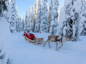 Pegada de carbono do trenó: qual seria o impacto ambiental do Papai Noel?