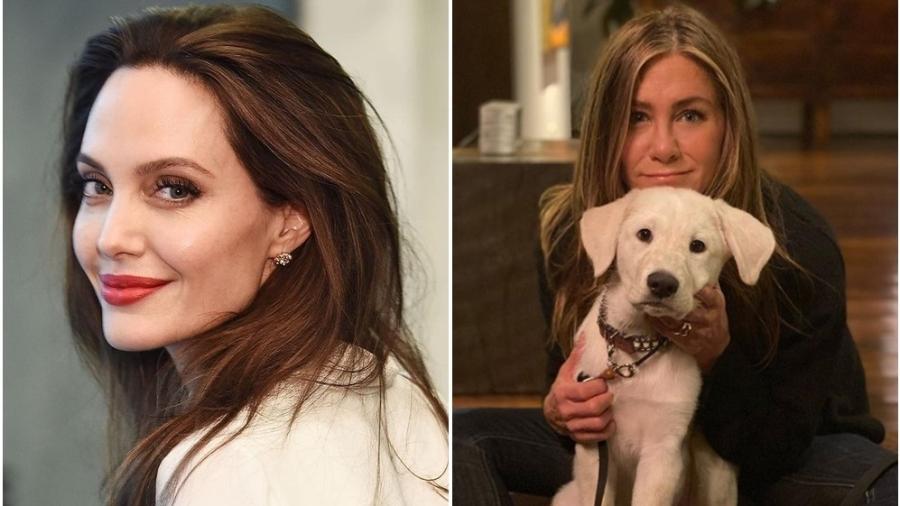 Angelina Julie supera recorde de Jennifer Anniston no Instagram - Reprodução/Instagram