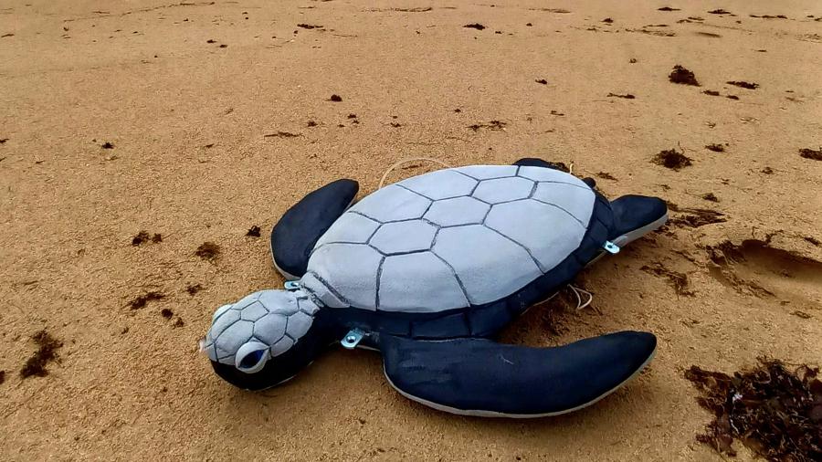 Réplica de tartaruga marinha utilizada na pesquisa com tubarões-tigre em Noronha - Bianca Rangel/Projeto Tubarões e Raias