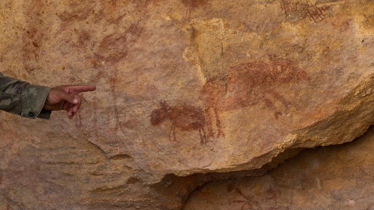 Pintura rupestre com imagem de anta no Parque Nacional da Serra da Capivara (PI), prova da existência da espécie há milhares de anos na região Pintura rupestre com imagem de anta no Parque Nacional da Serra da Capivara (PI), prova da existência da espécie há milhares de anos na região