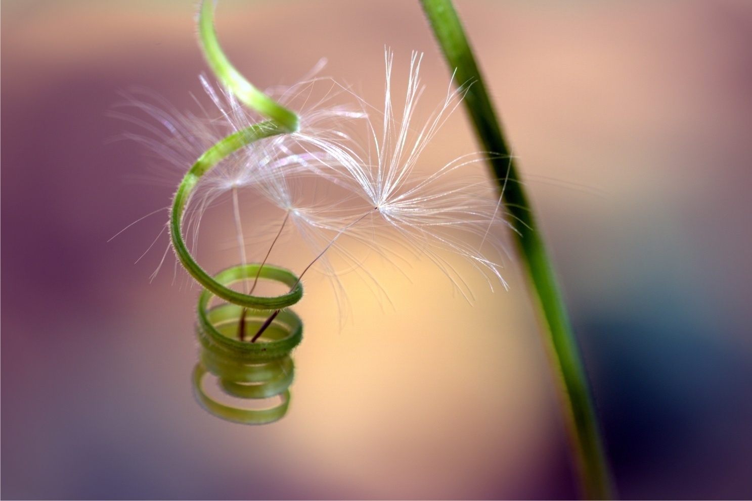 Foto de Cidinha Rissi, no MT. - Cidinha Rissi