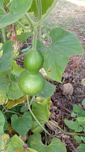 3 - Liliana Menezes/Divulgação - Liliana Menezes/Divulgação