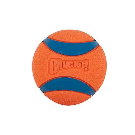 Bola Chuckit Ultraball grande - Divulgação - Divulgação