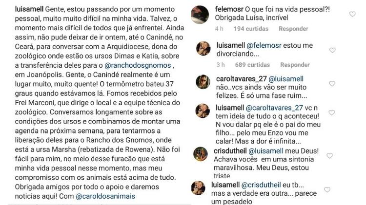 Luisa Mell desabafa com seus seguidores sobre separação - Reprodução/Instagram - Reprodução/Instagram