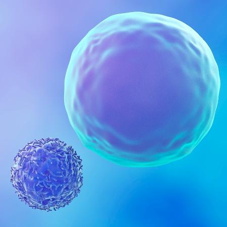 Pesquisa utilizou células dendríticas (que fazem parte do sistema imune) para medir a capacidade de proliferação dos linfócitos T, células de defesa do sangue que destroem o câncer - iStock