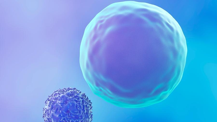 Imunoterapia, anticorpos e terapia celular são ferramentas cada vez mais usadas na luta contra tumores - iStock