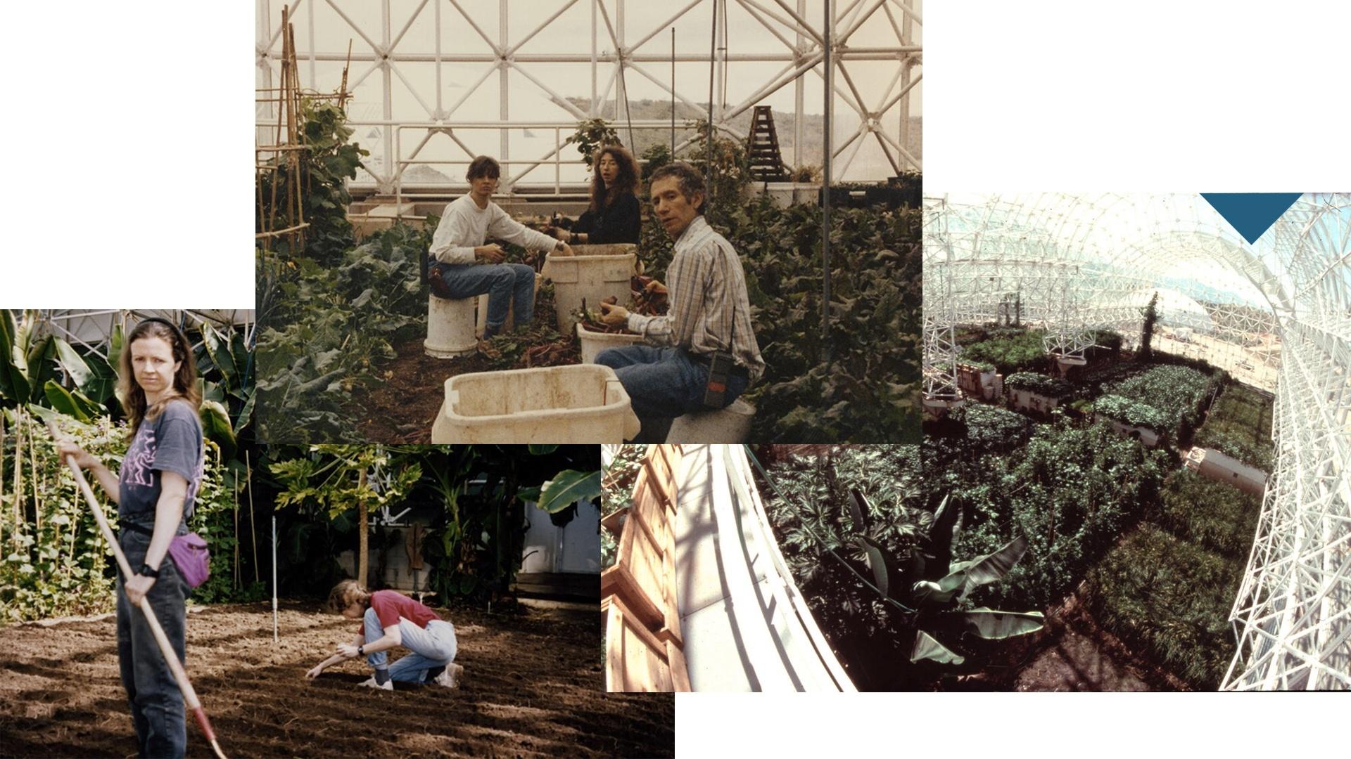 Fotos de arquivo cortesia de Ecotechnics.edu