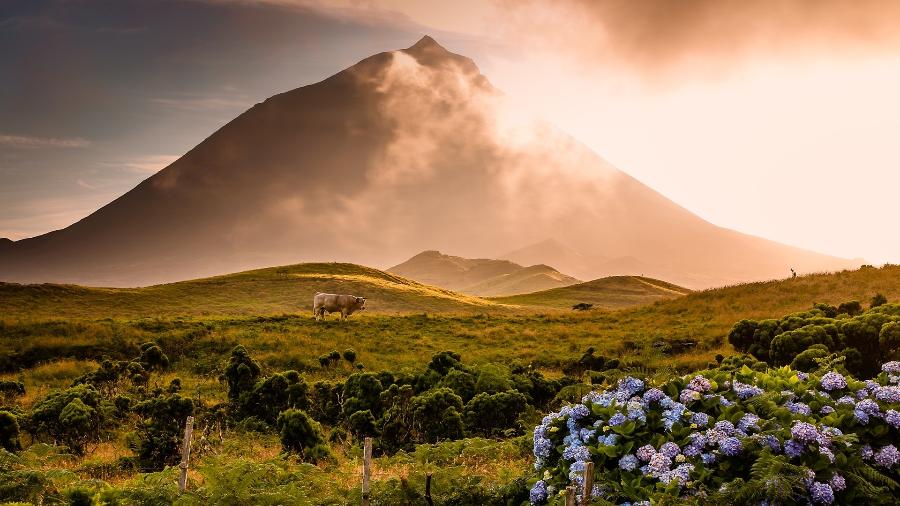 No remoto arquipélago de Açores, a Ilha do Pico abriga a montanha mais alta de Portugal, um vulcão com 2.351 metros de altitude