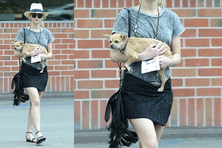 Parece baratinho, mas custou uma fortuna: Jennifer Lawrence - Grosby Group