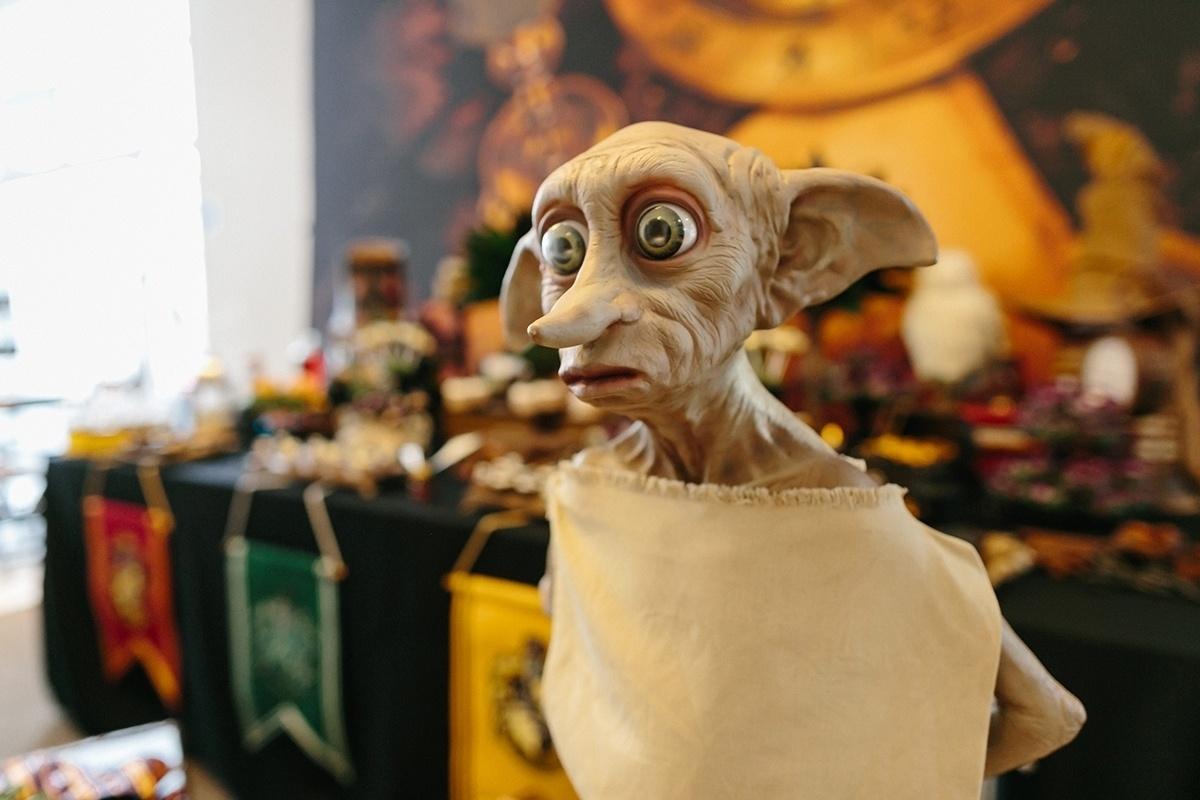 Festa inspirada em Harry Potter- Dobby - Nina Bedacchi Photography/Divulgação