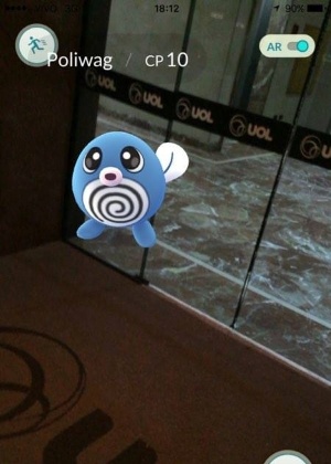 Pedro Henrique Lutti Lippe/UOL