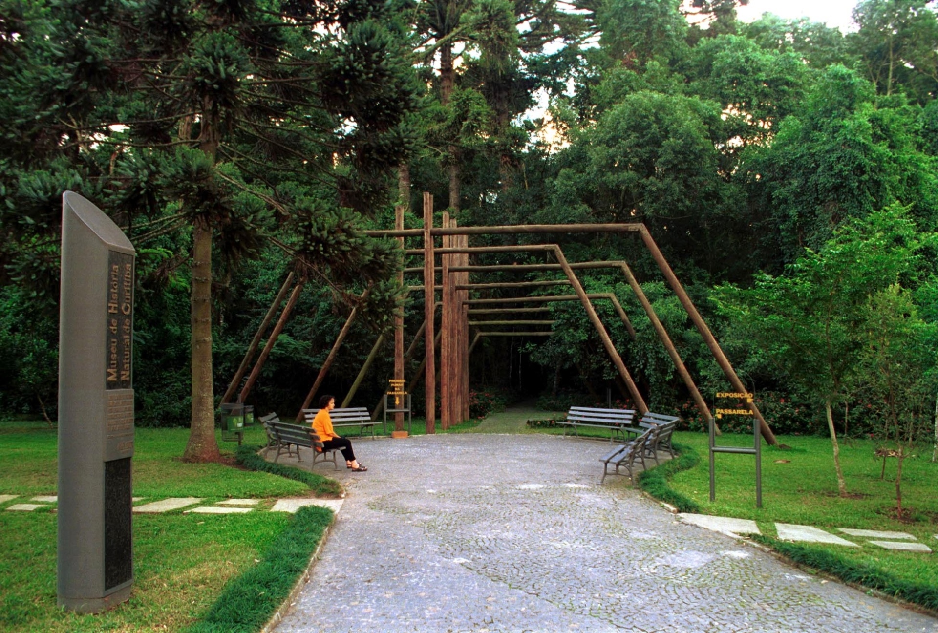 O Bosque Capão da Imbuia - Divulgação/Amaury Cosiaki/SMCS(arquivo)