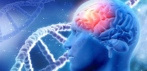 Pesquisa descobriu coquetel que reduz as proteínas Beta-amiloide no cérebro - iStock
