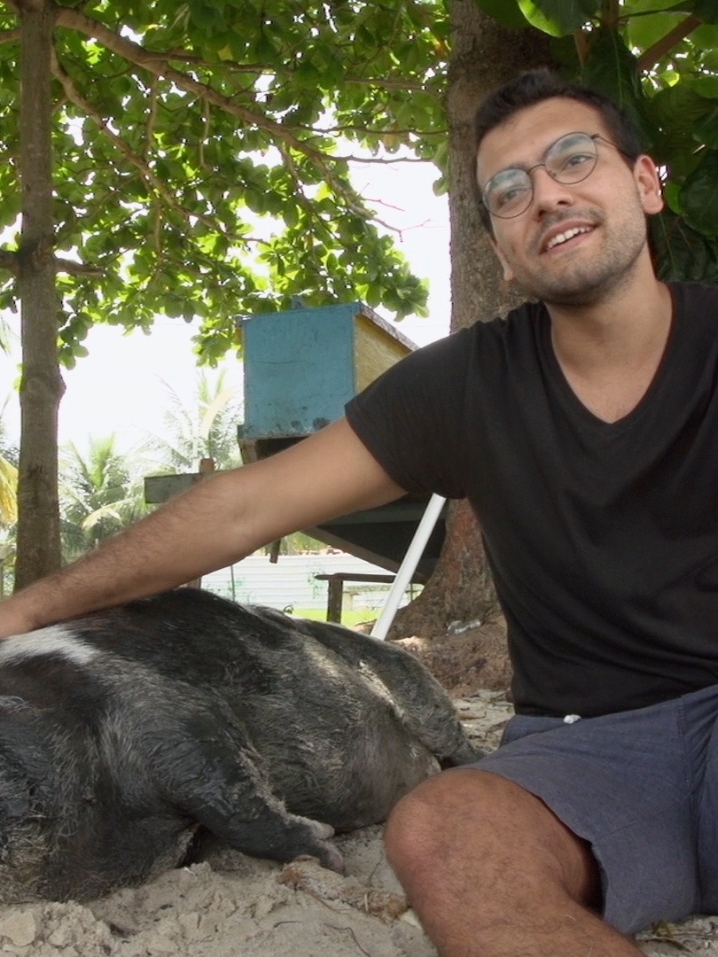 Porca Abigail ajudou Guilherme a sair de uma depressão