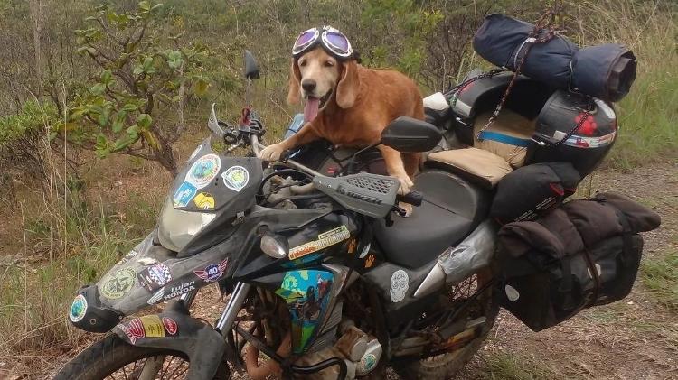 pausa - Arquivo Pessoal - Arquivo Pessoal