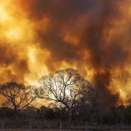 Incêndio florestal consome a vegetação na região da Nhecolândia, no Pantanal do Mato Grosso do Sul