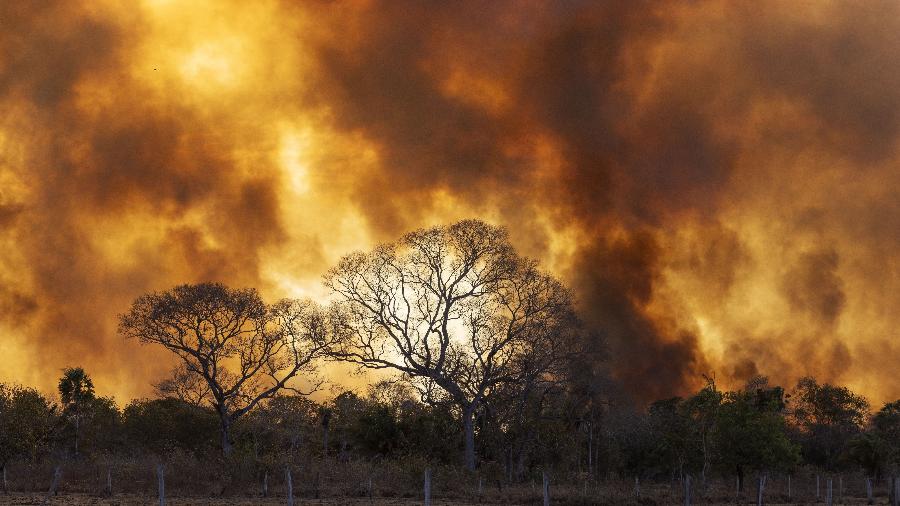 Incêndio florestal consome a vegetação na região da Nhecolândia, no Pantanal do Mato Grosso do Sul