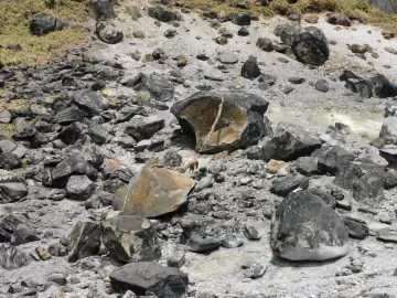 Encostou, morreu: lenda antiga da pedra assassina no Japão dura até hoje 