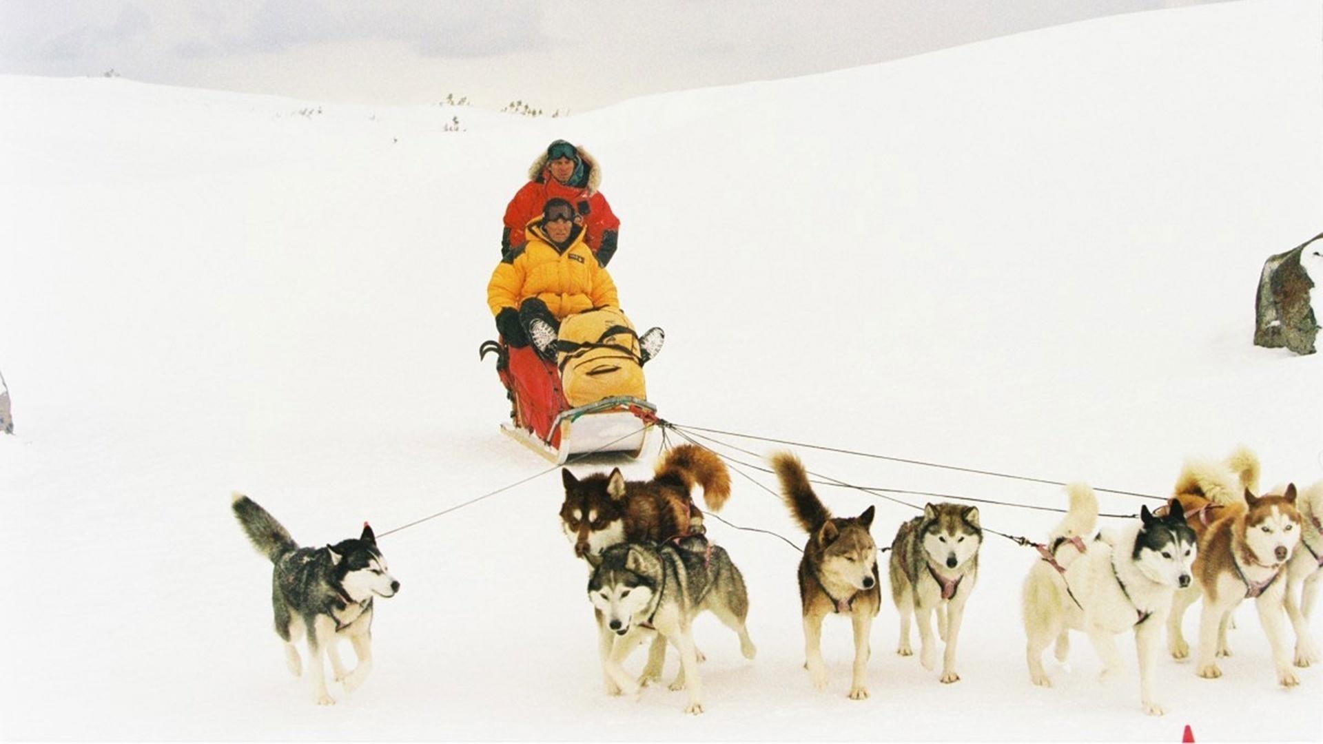 Cena do filme "Resgate Abaixo de Zero" (2006), de Frank Marshall - Reprodução