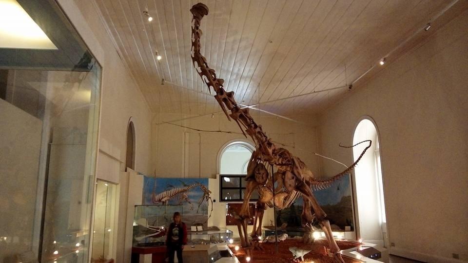 Acervo do Museu Nacional do Rio - Facebook/Reprodução