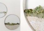 Sem espaço? Plantas emolduradas criam microjardim na parede - Divulgação/ Kim Fisher Designs