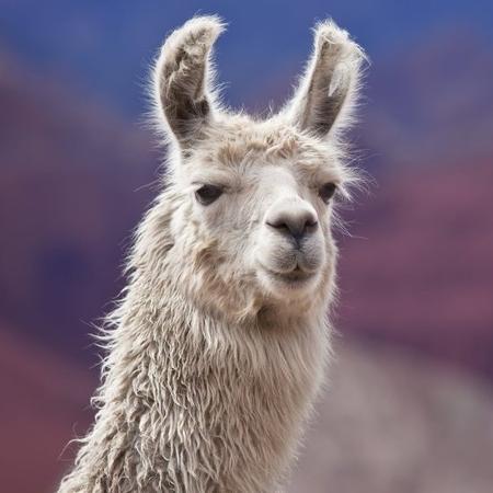Istock