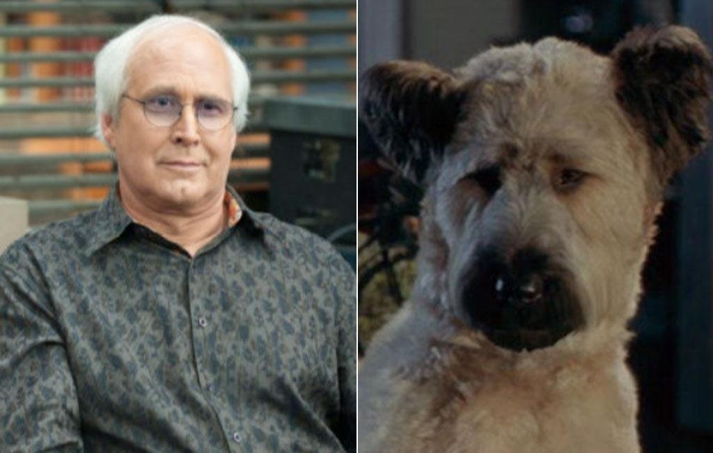 Chevy Chase fez a dublagem do cão Cho Cho no filme "Karatê Dog" (2005) - Reprodução