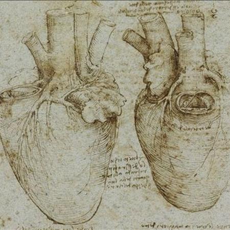 Desenho de Leonardo da Vinci Desenho de Leonardo da Vinci