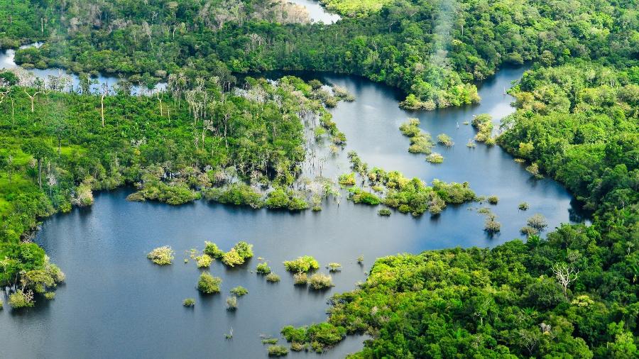 Visão da Floresta Amazônica na região do Médio Amazonas - Neil Palmer/Cifor