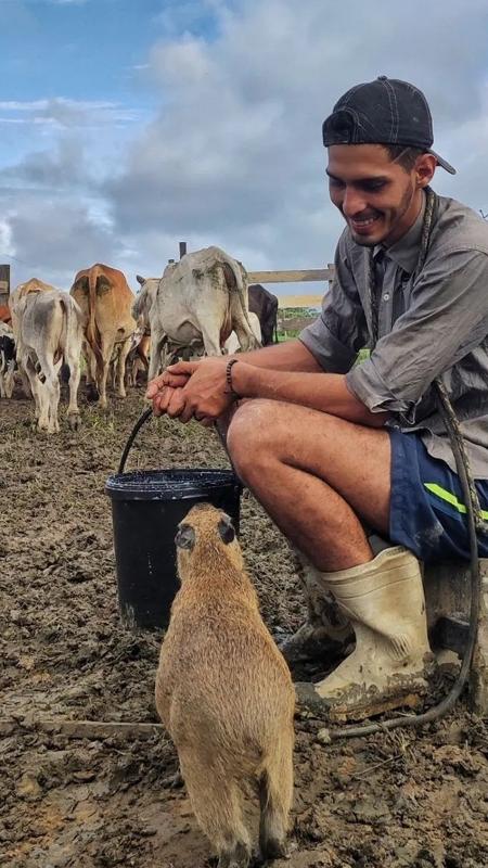 Na zona rural amazonense, o jovem Agenor Tupinambá está encantando seguidores por seu afeto com os animais - Reprodução/Instagram - Reprodução/Instagram