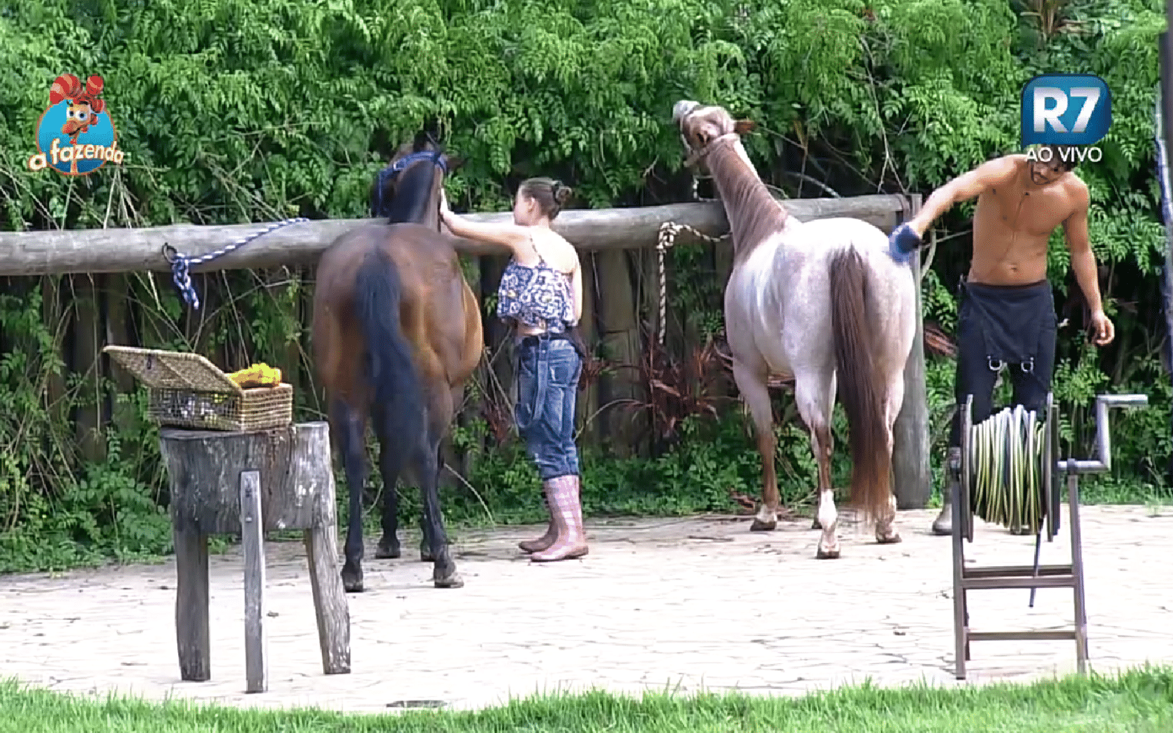 18.nov.2015 - Marcelo e Rayanne escovam os cavalos após o atrado do peão em cumprir a tarefa - Reprodução/Record