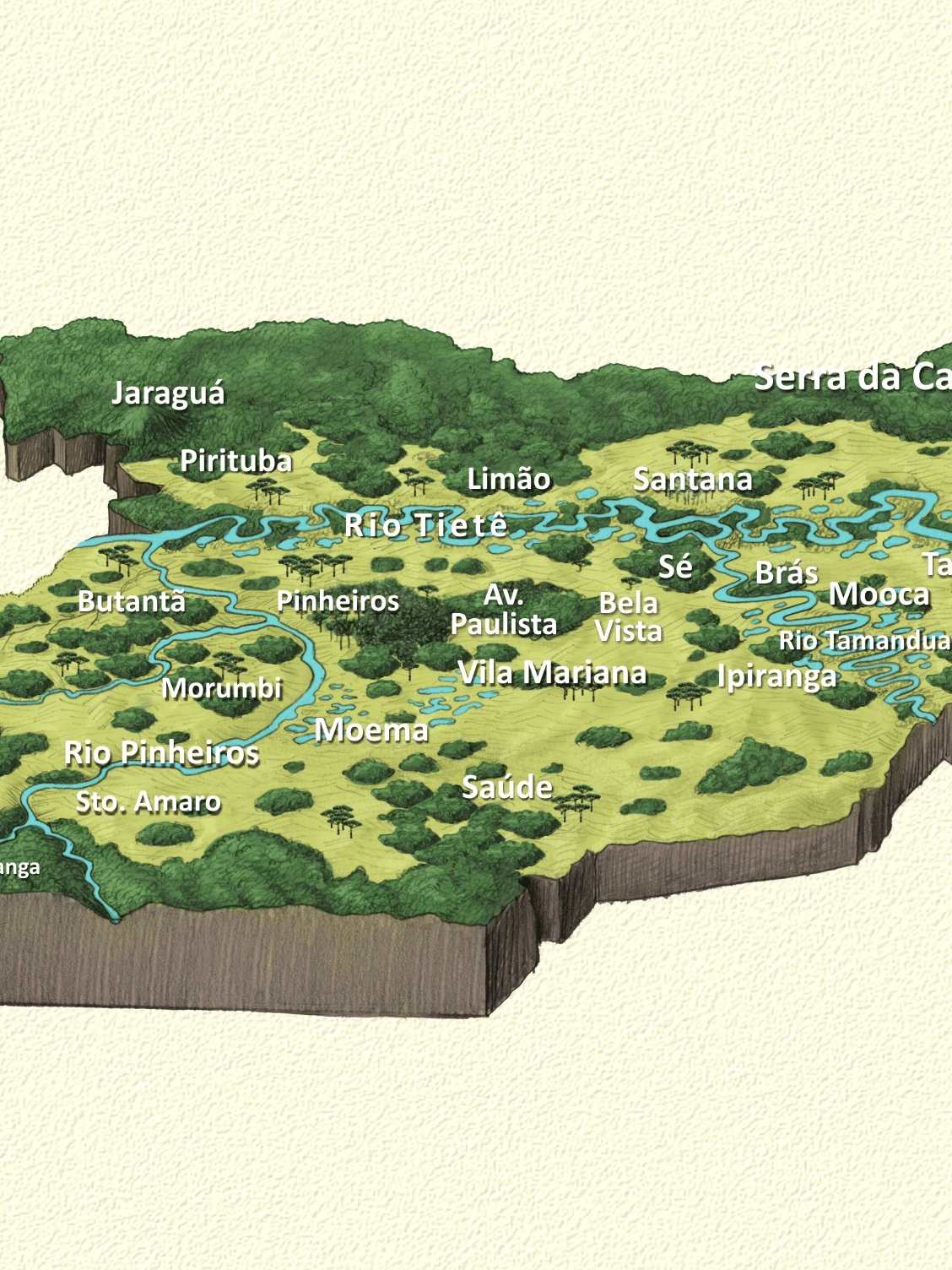 Antes dos portugueses, SP teve floresta tropical, Cerrado e mini