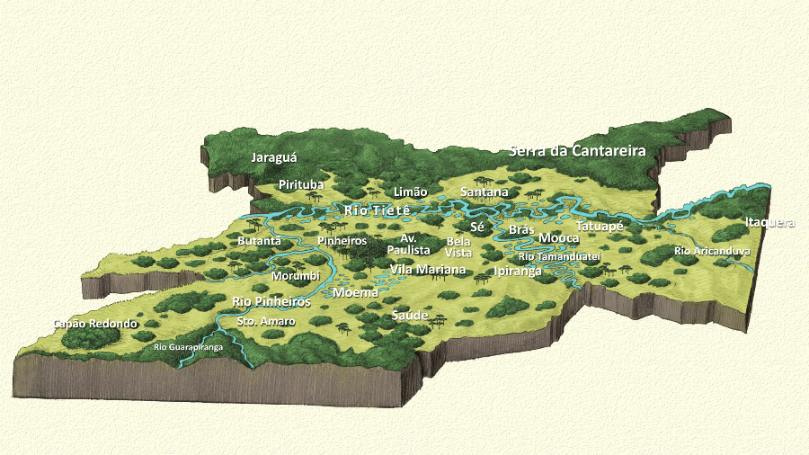 A BBC Brasil elaborou um mapa inédito da flora paulistana original marcada pela diversidade de biomas antes da colonização - Leandro Lopes de Souza
