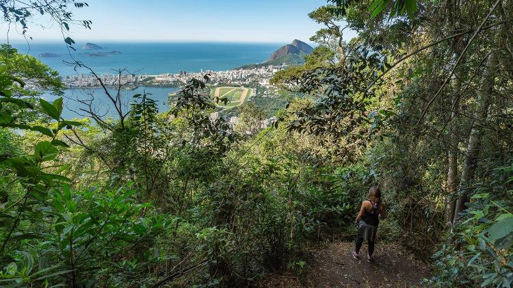 Parque Nacional da Tijuca, no Rio de Janeiro, um dos locais reabertos para ecoturismo no Brasil - Marcello Cavalcanti - Marcello Cavalcanti