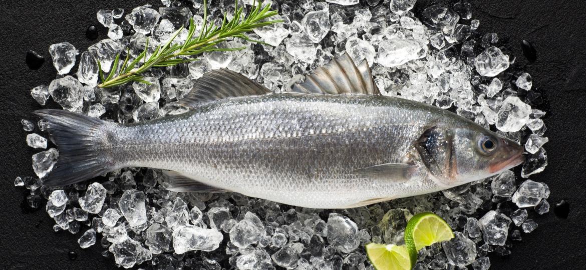 Mesmo peixes recém-pescados não necessariamente têm as características de um pescado considerado fresco - Getty Images/iStockphoto