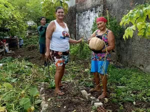 Comunidade transforma 'lixão' em horta e reduz efeitos de mudança climática