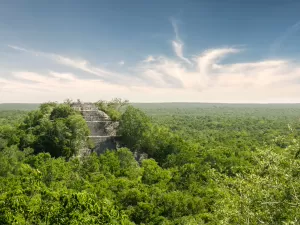 Doutorando descobre 'por acaso' cidade maia milenar em floresta do México