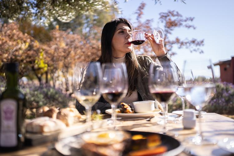 Tours nas vinícolas de Mendoza, que podem incluir almoço harmonizado, tiveram um crescimento de 60% em reservas Tours nas vinícolas de Mendoza, que podem incluir almoço harmonizado, tiveram um crescimento de 60% em reservas