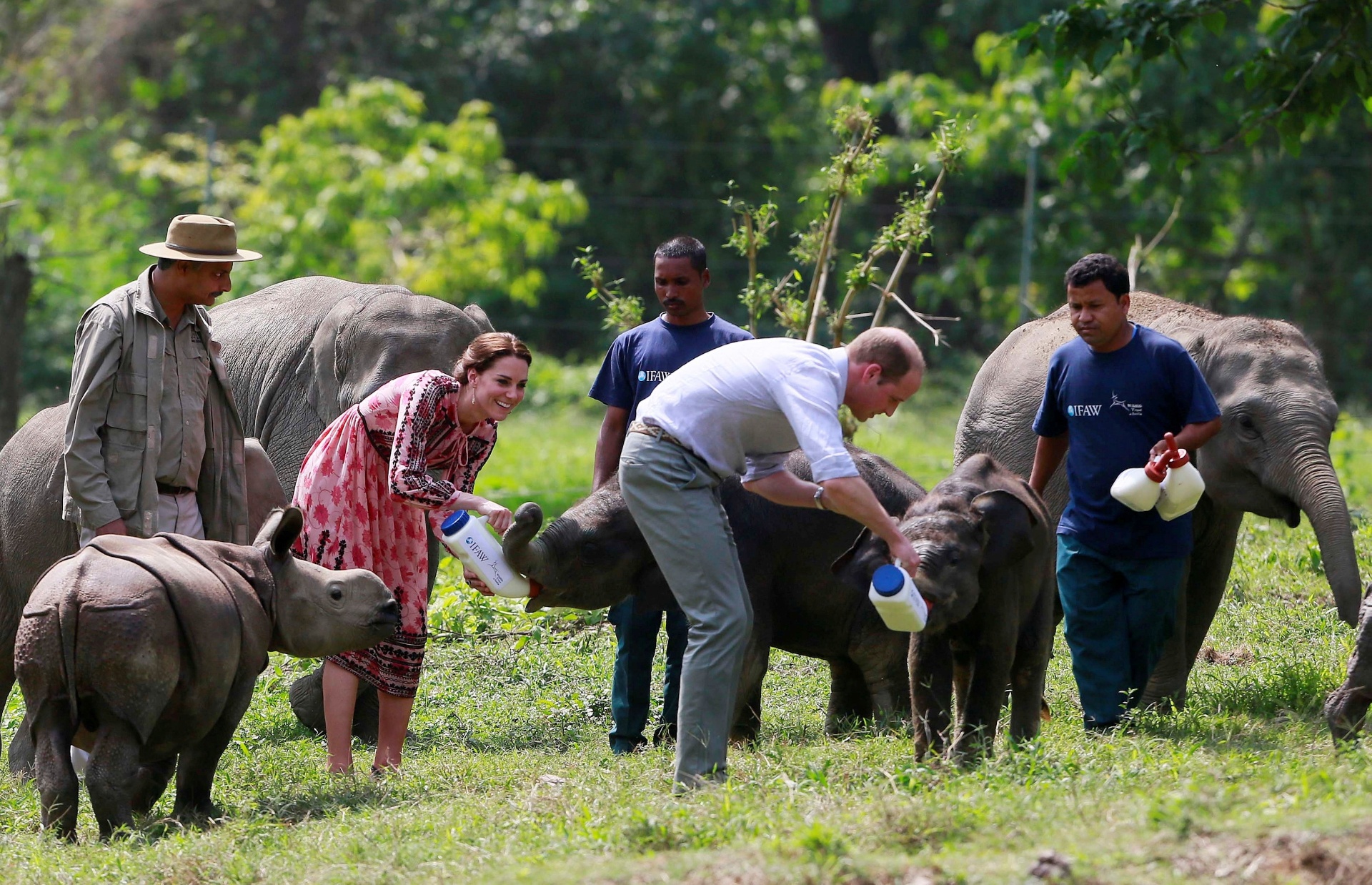 13.abr.2016 - Kate e William, os duques de Cambridge, alimentam elefantes durante visita ao Parque Nacional Kaziranga, na Índia - REUTERS/Anupam Nath/Pool