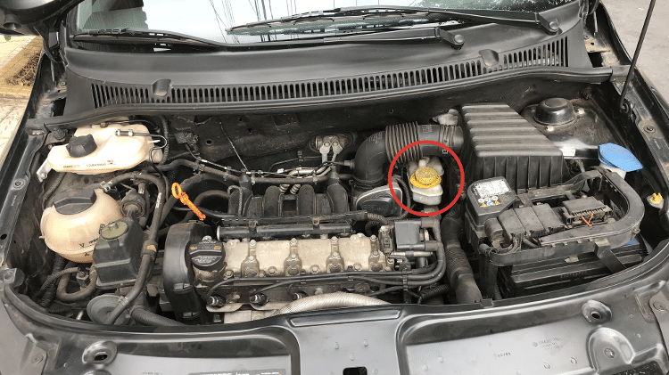 Freio - Thais Roland - Thais Roland