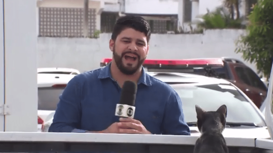 Artur Lira e o gatinho em gravação para a TV Paraíba - Reprodução