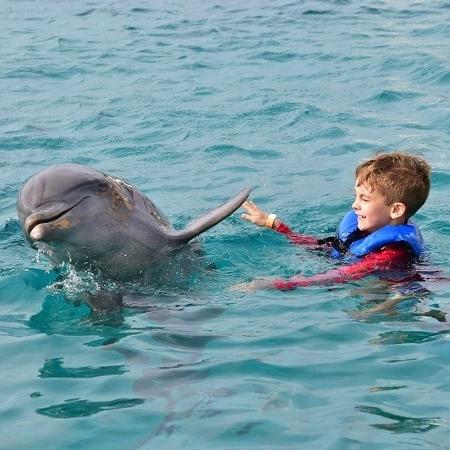 Alexandre Côrrea, filha da Ana Hickmann, nada com golfinho - REPRODUÇÃO/INSTAGRAM