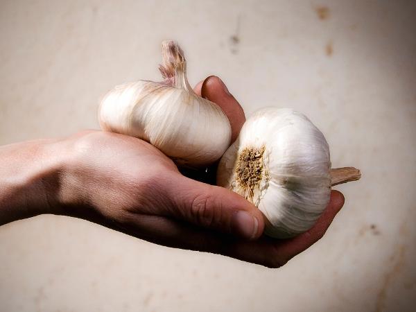 WIN-Initiative/Getty Images