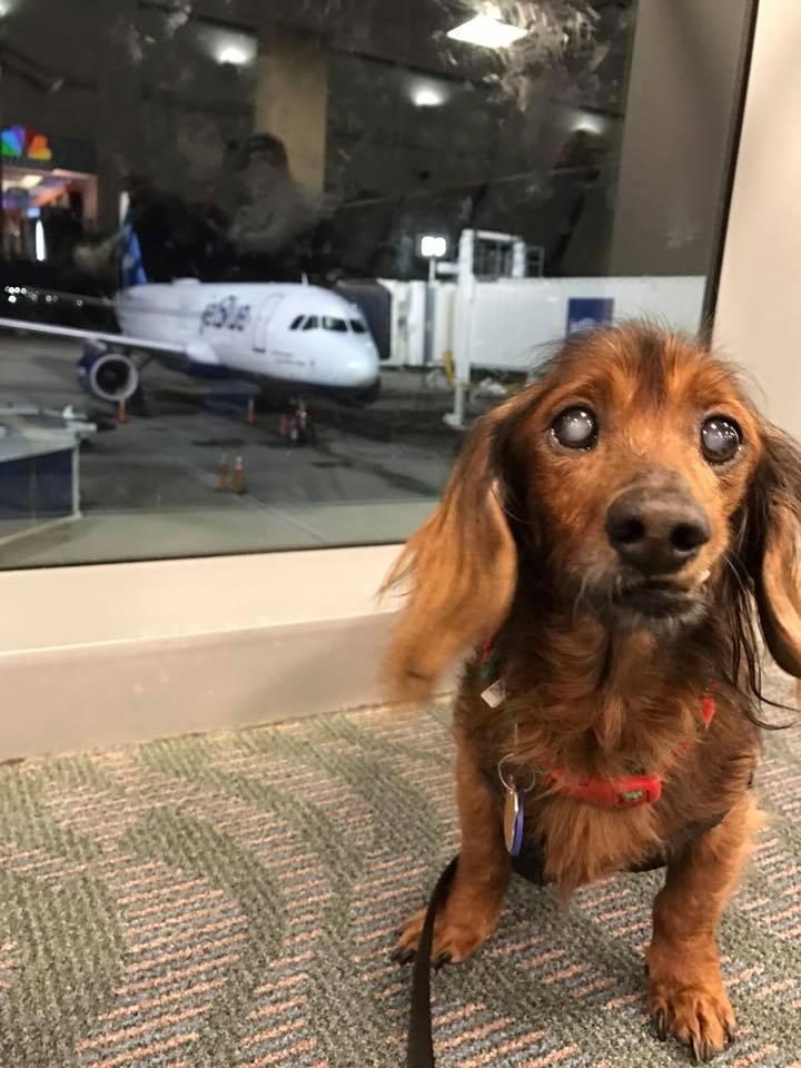 Reprodução/Facebook