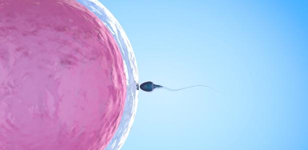 Doa&ccedil;&atilde;o de &oacute;vulos: como funciona o procedimento? Tire d&uacute;vidas - VivaBem -  UOL VivaBem