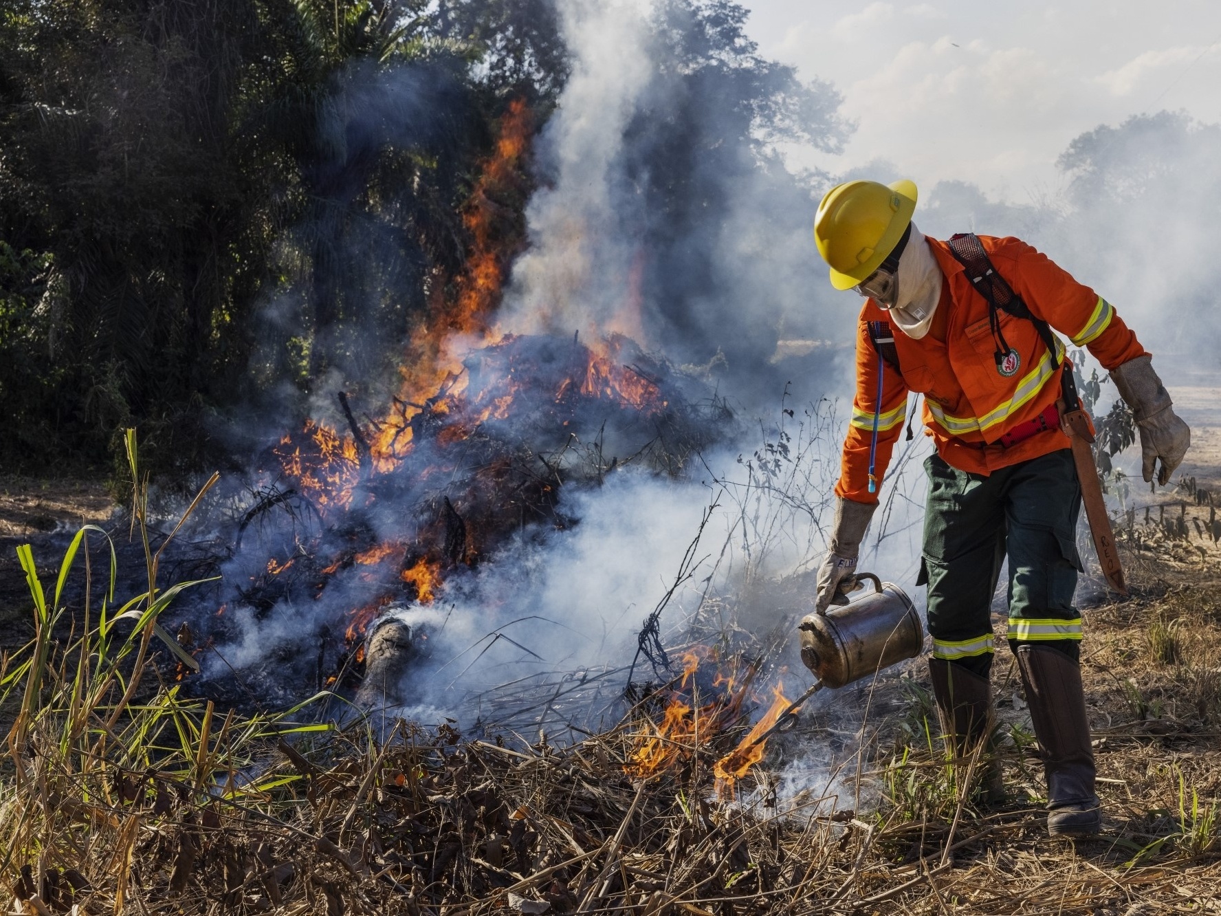 Transamazônica: 50 anos entre ufanismo e desastre ambiental – DW –  27/09/2022