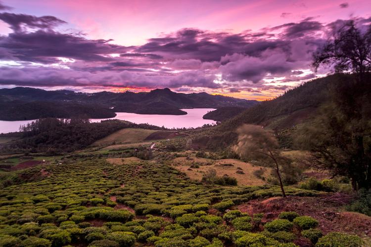 A paisagem da região é disputada pelos viajantes do trem